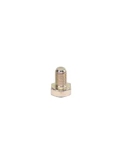 237570.01 VIJAK M10X16X1,5 8.8 GSK