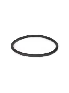 G10073 O-RING GUMICA 58,74 X 3,53 ARG