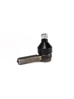 AH21345.1 ZGLOB GLAVE KOSE GSK