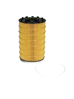 P954927 FILTER ULJA (A) DON