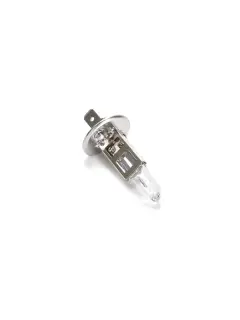 GL12258PR SIJALICA H1, 12V, 55W, P14.5S KRP