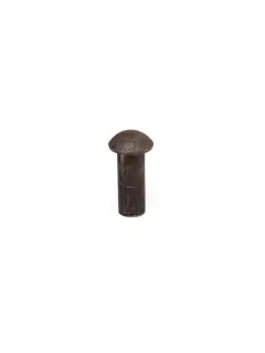 46059.01 NITNA 6,3X16 SA OBLOM GLAVOM DIN660 TT SCH