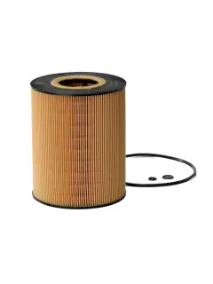 P550765 FILTER ULJA (A) DON