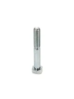 3013620 VIJAK M14X90X2 (38) 8.8 ORG