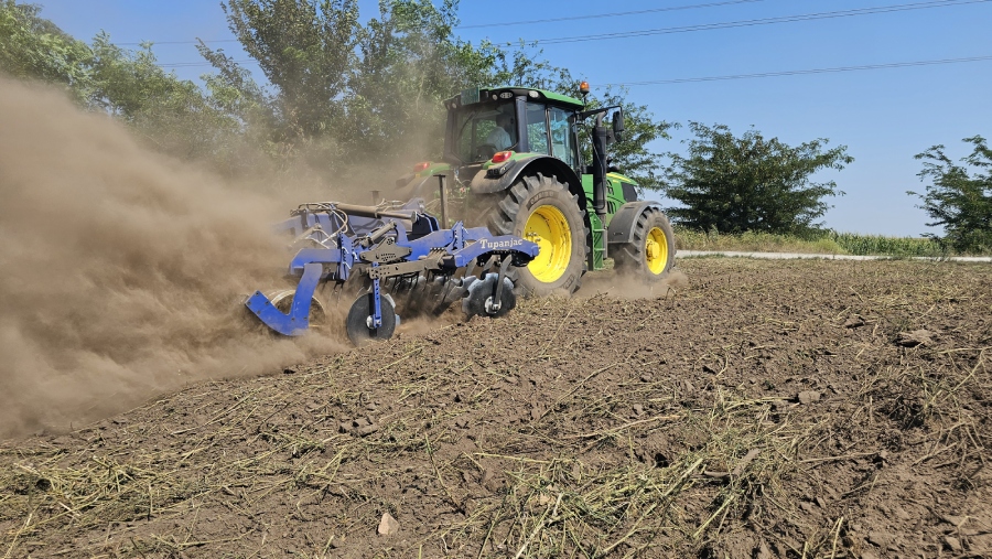 Tupanjac-kratka-nošena-tanjirača